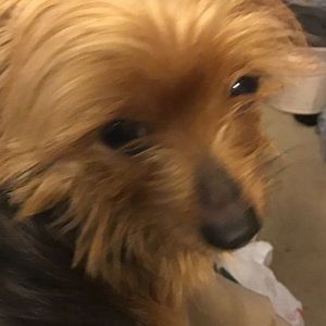 Meet your Posher, Marsha